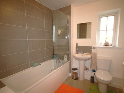 Picture 19
